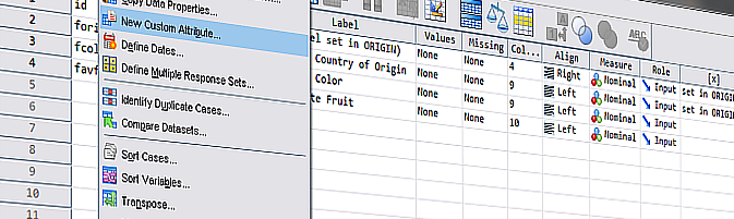 SPSS pitfalls: Combining files with custom variable attributes